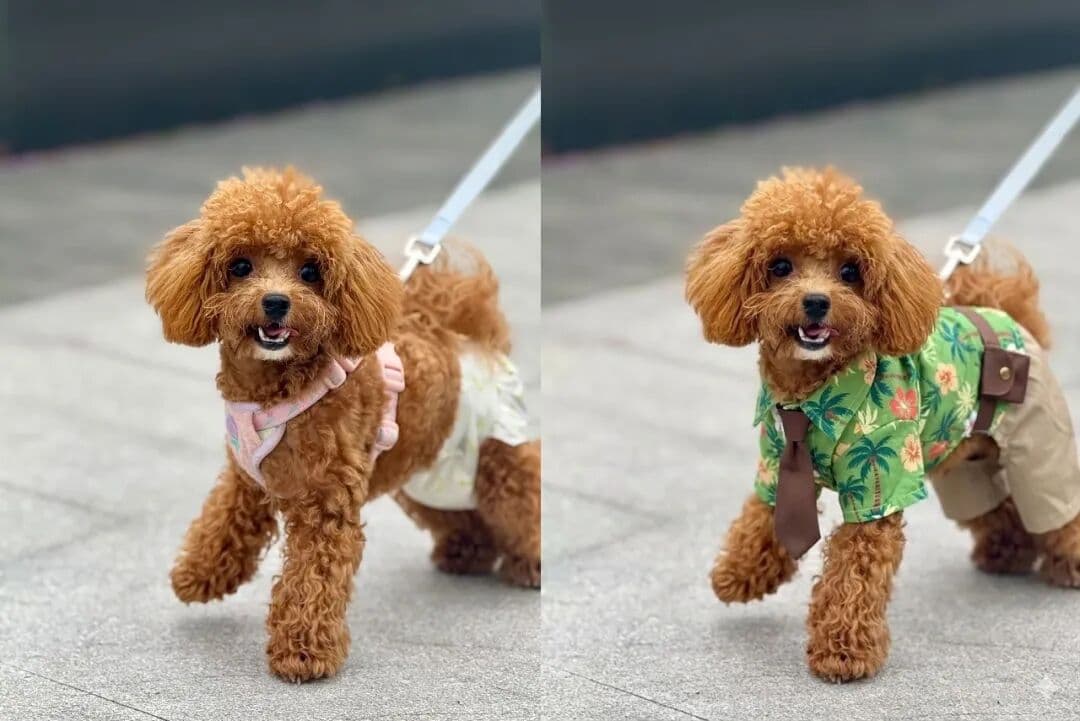 Pet Cosplay Outfit