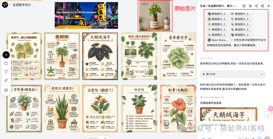 Plant Info Cards Batch